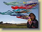 Saachi-Kite-Festival-Jul09 (23) * 3072 x 2304 * (3.06MB)